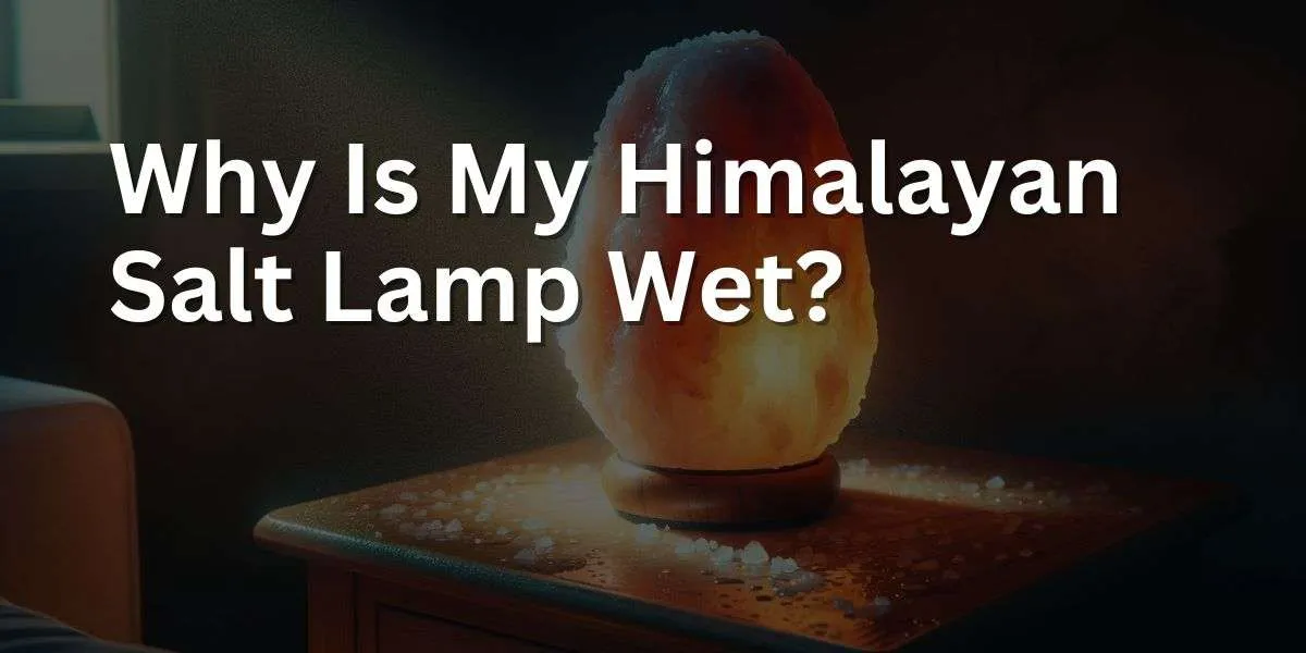 Why Is My Himalayan Salt Lamp Wet?