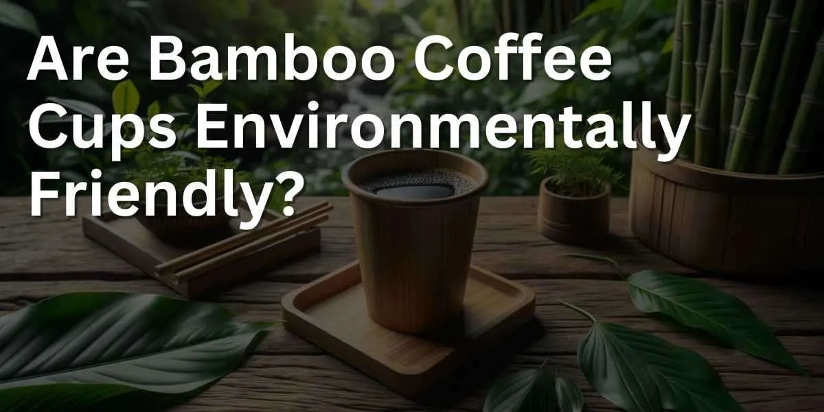 https://babame.com/wp-content/uploads/2022/11/Are-Bamboo-Coffee-Cups-Environmentally-Friendly-hero.jpg