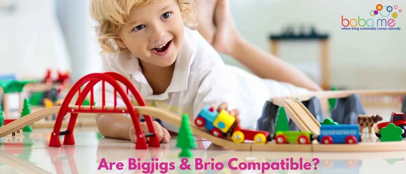 Are Bigjigs & Brio Compatible?