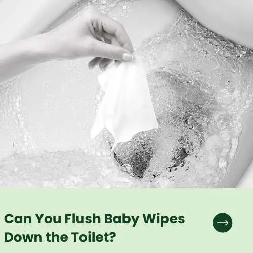 Can You Flush Baby Wipes Down the Toilet thumb