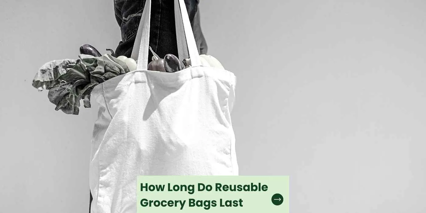 How Long Do Reusable Grocery Bags Last