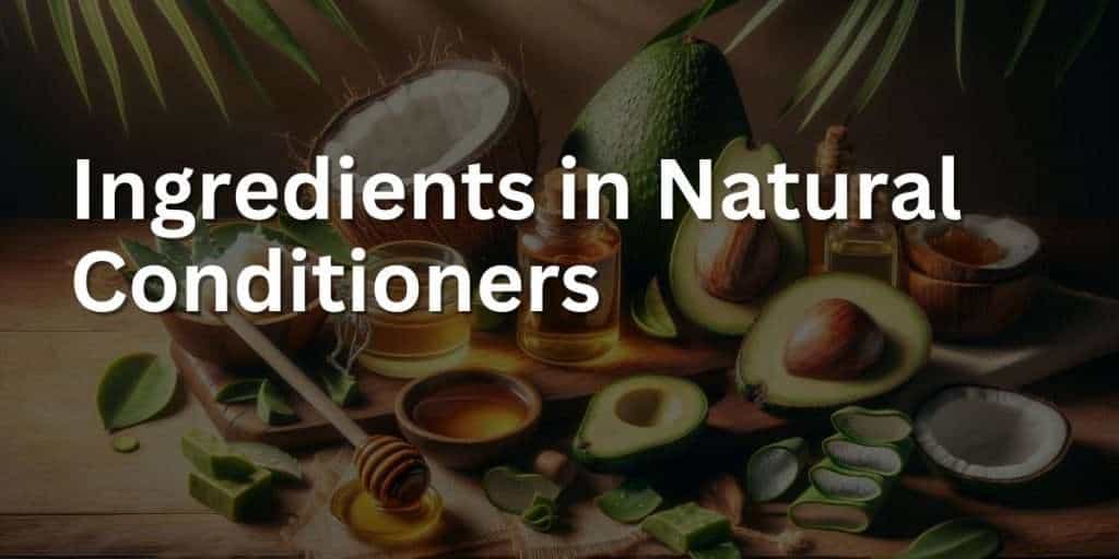 Ingredients in Natural Conditioners Nature's Nourishment Baba Me