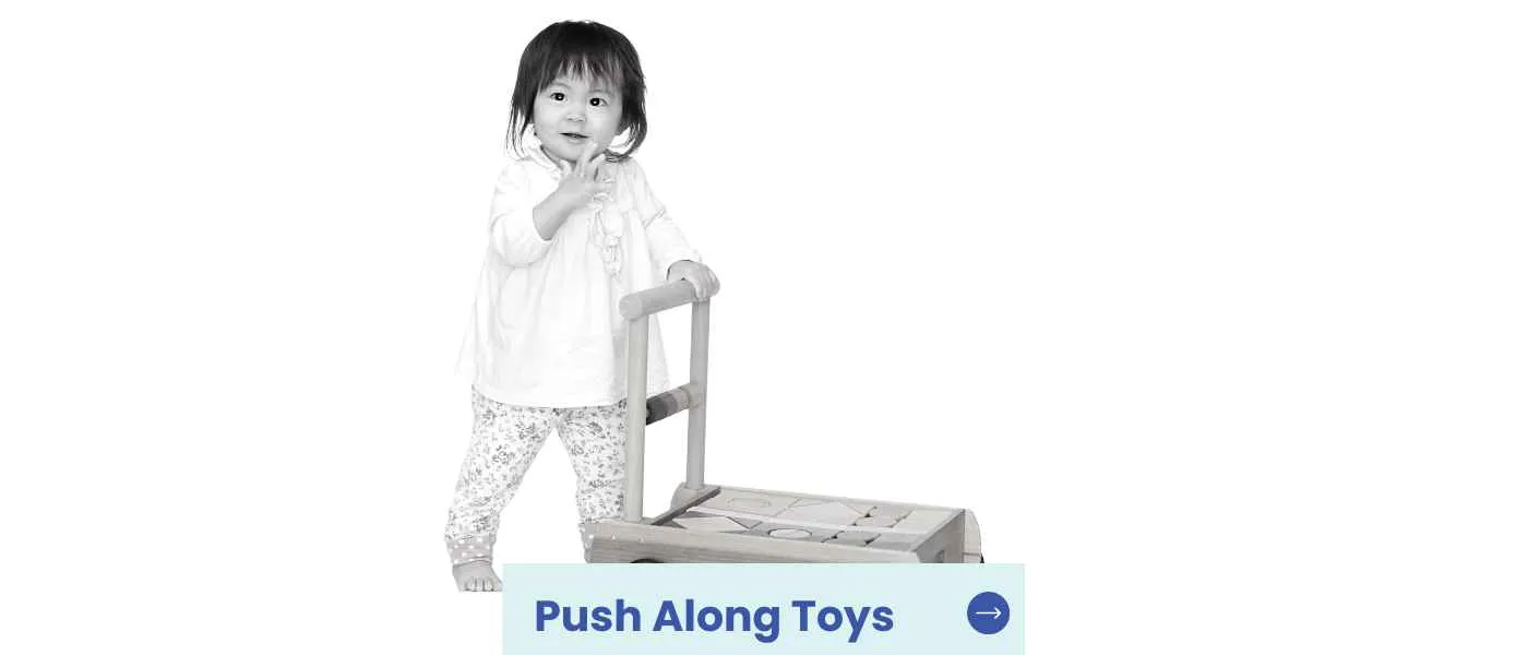 Best Push Along Toys for Toddlers (2023)