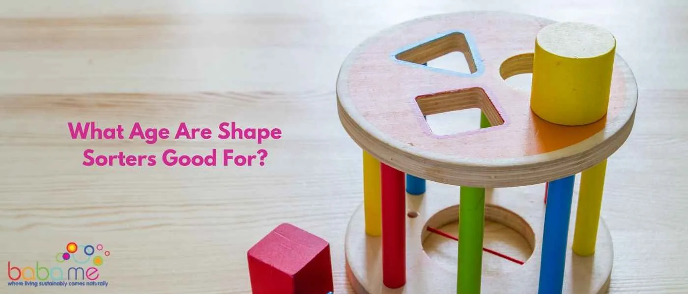 What Age Are Shape Sorters Good For?