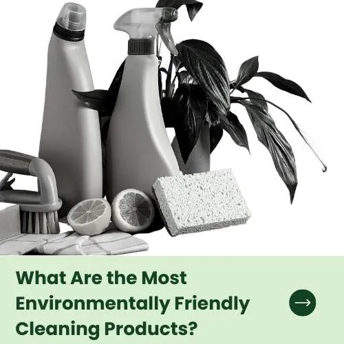 What Are the Most Environmentally Friendly Cleaning Products thumb