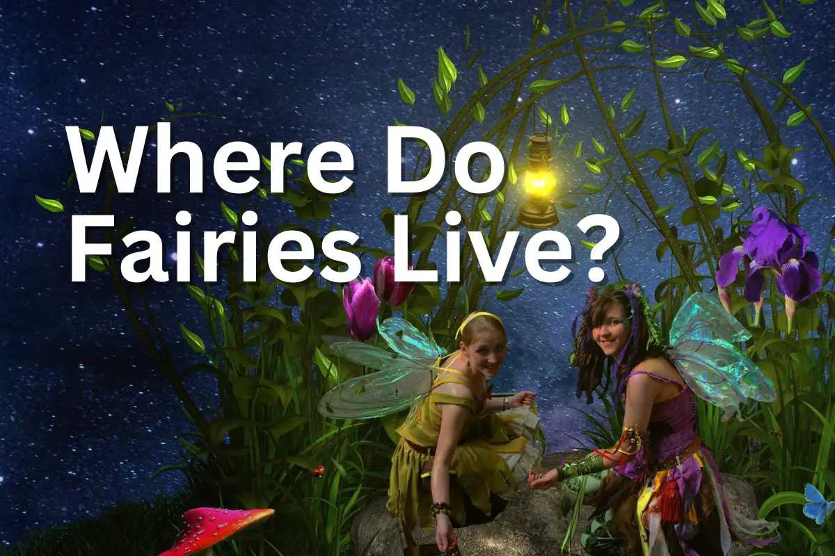 Where Do the Fairies Live