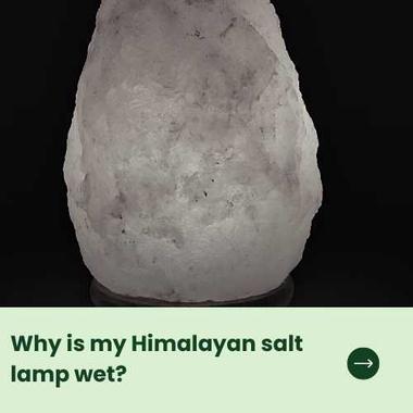 ethisch vervagen Overweldigen How to clean Himalayan salt lamp - Baba Me
