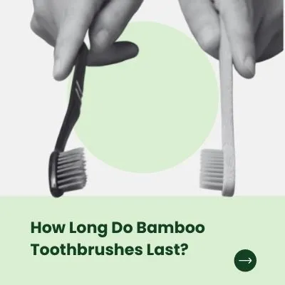 how long do bamboo toothbrushes last 1