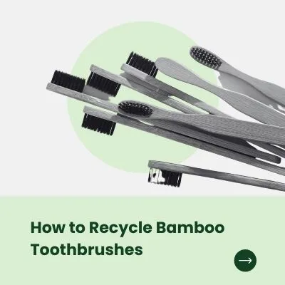 how to recycle bamboo toothbrush 1