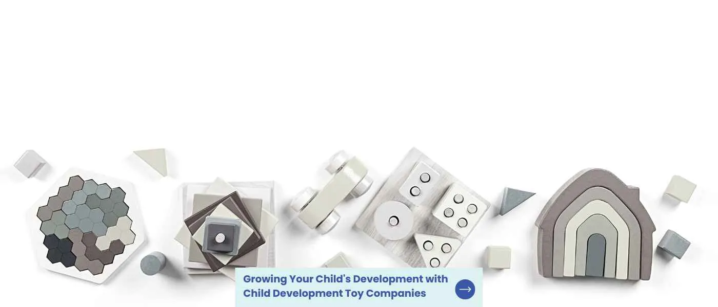 Growing Your Childs Development with Child Development Toy Companies