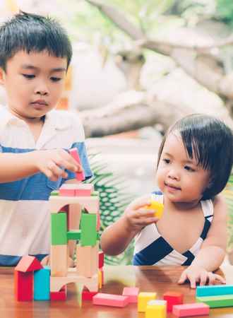 Research on the Effects of Gender Specific Toys