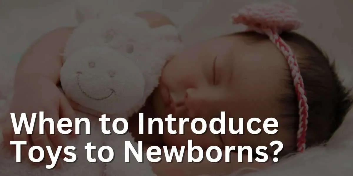 When to Introduce Toys to Newborns