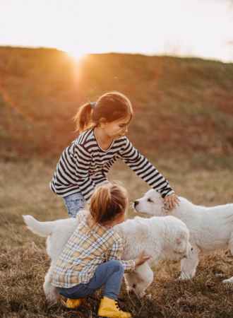 How Does Play Affect Physical Development 1