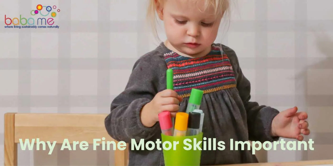 Why Are Fine Motor Skills Important