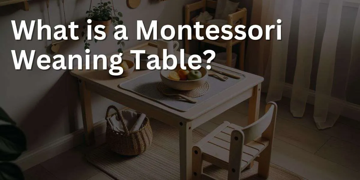 https://babame.com/wp-content/uploads/2023/08/What-is-a-Montessori-Weaning-Table.jpg