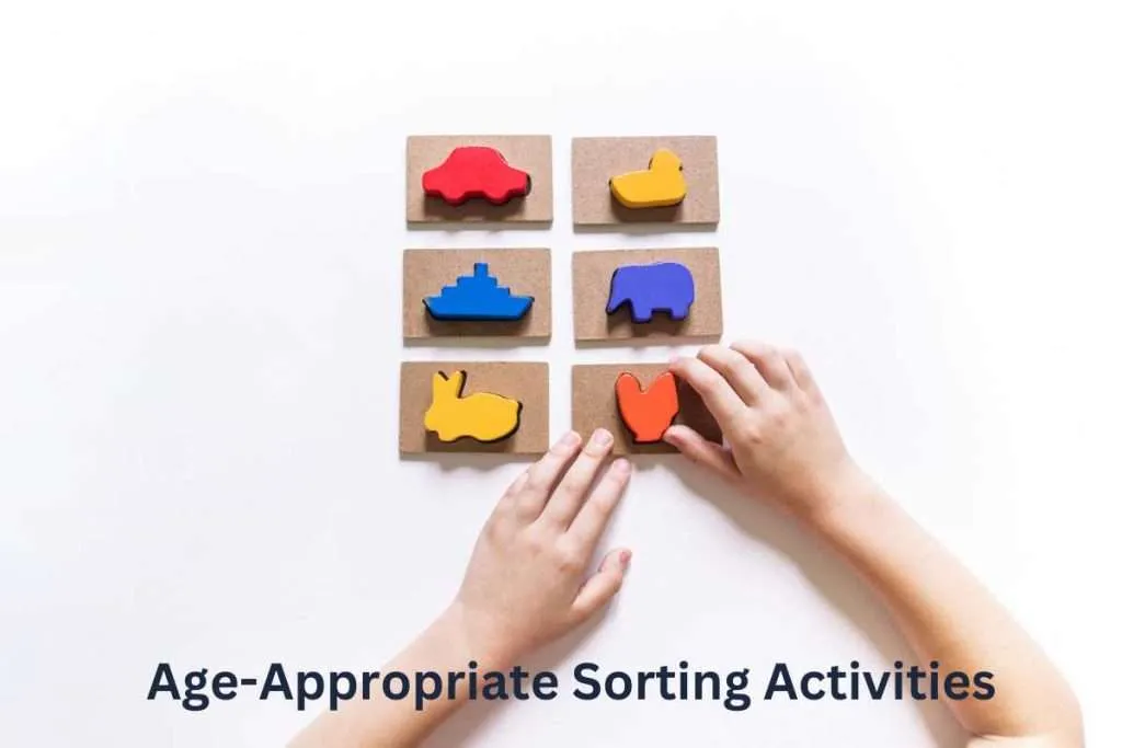 Age Appropriate Sorting Activities