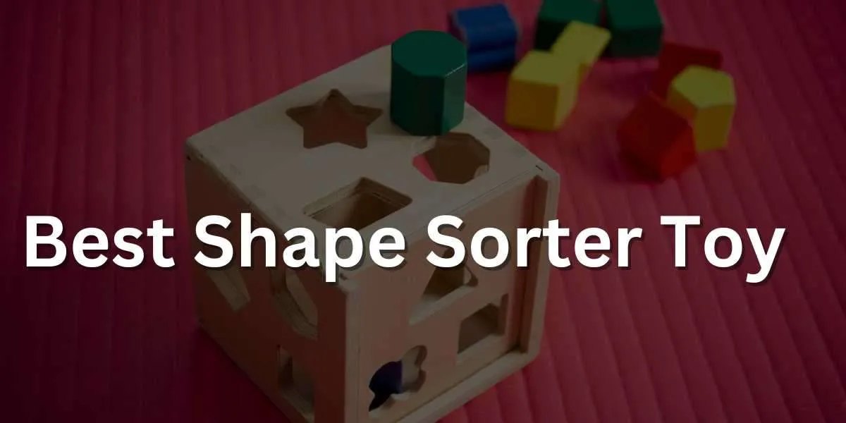Best Shape Sorter Toy for Toddlers in 2023