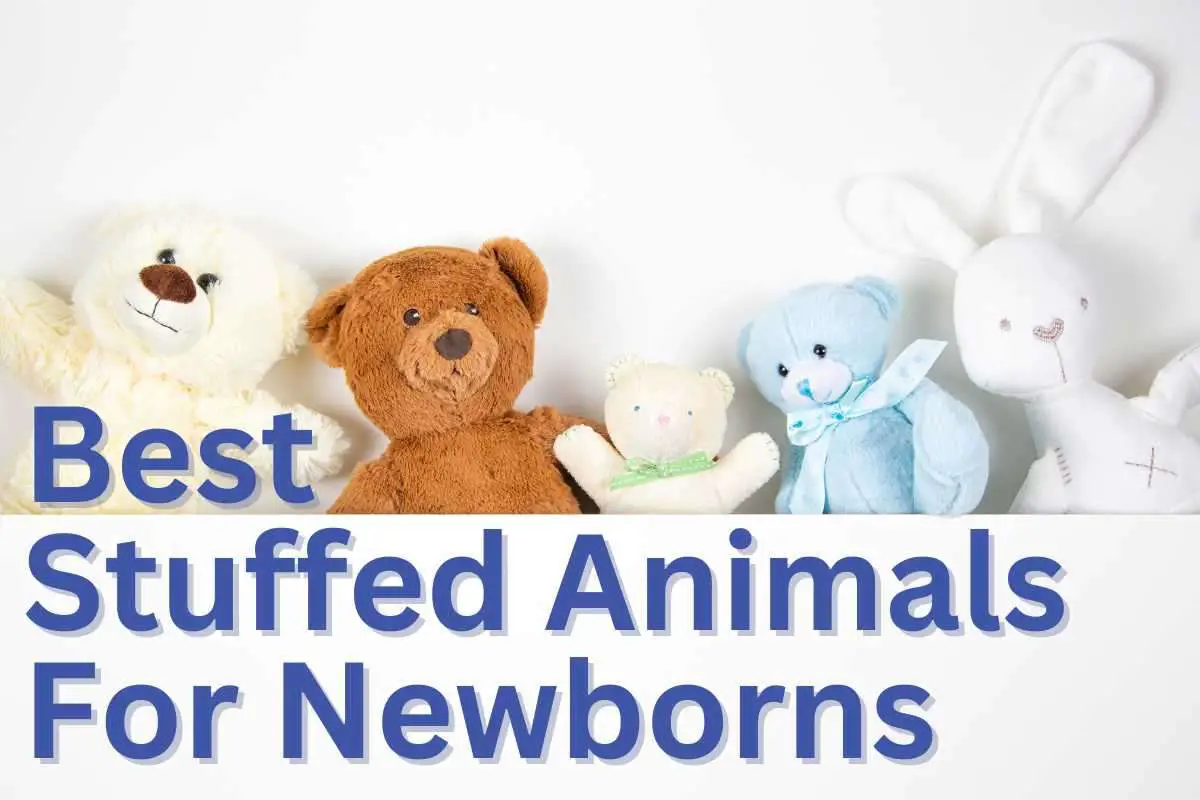 Best Stuffed Animals for Newborns: Soft, Safe & Snuggly